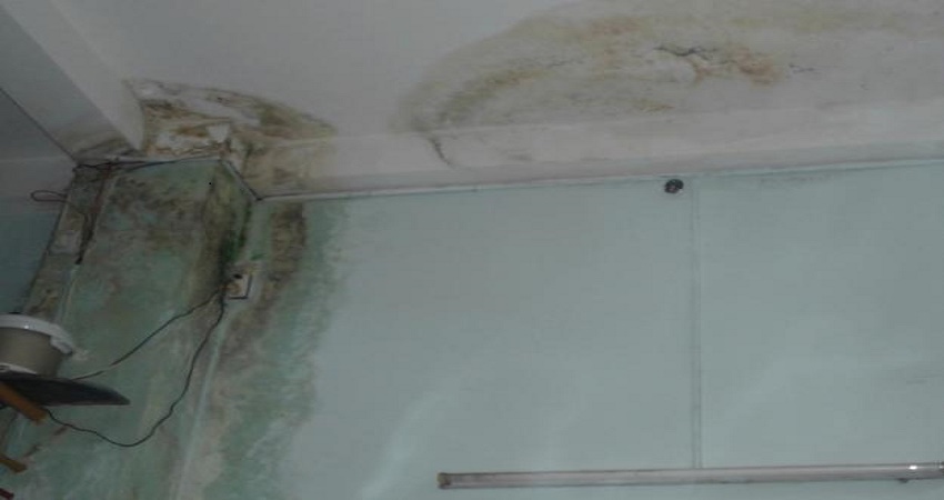Dịch Vụ Chống Thấm Trần Nhà Uy Tín – Bảo Vệ Công Trình Trọn Đời